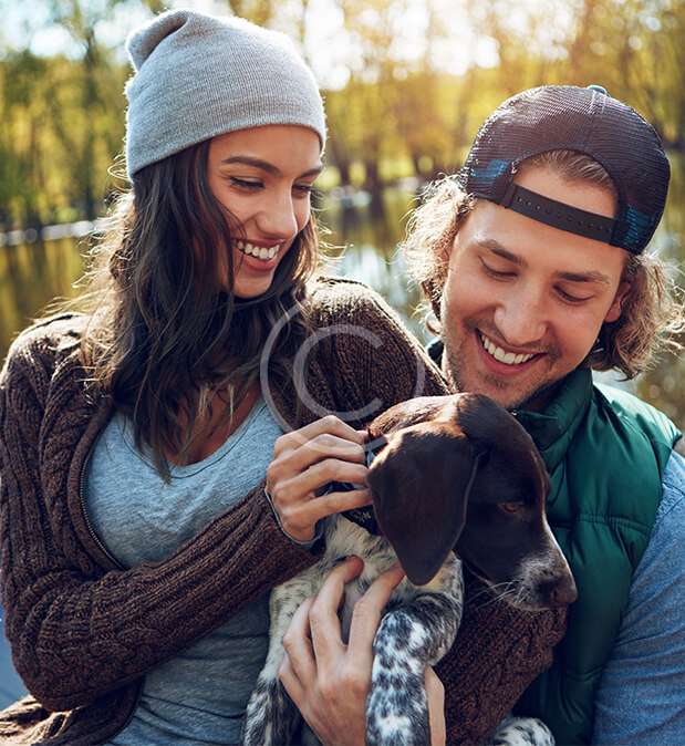 bg-14-copyright (2) bg-14-copyright (2)